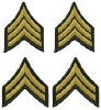 Uniform Rank Insignia - Los Angeles Police Department - 20% Off